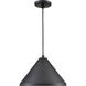 R Series 1 Light 13 inch Satin Black Indoor Pendant Ceiling Light